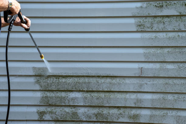 Best Stucco Siding  in Summerde, AL